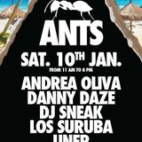 @AndreaOliva1 Andrea Oliva @ Ants Party - BPM Festival 2015 10-01-15