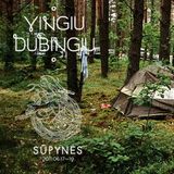 vingiu dubingiu vol 13 (Supynės 2011 edition)