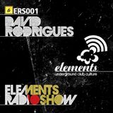 ERS001 - David Rodrigues