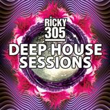 Deep House Sessions 003 - Ricky 305