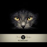 STROMKRAFT Fearless Radio Show #01