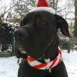 Dee Liver - X Mas in Your House Mix 2012