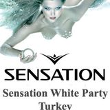 Dennis Ferrer - Live @ Sensation White Istanbul Turkey (13-10-2012)