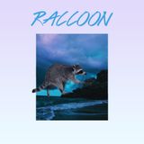 RACCOON
