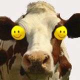 Script in the Country (extended anti warm-up mix)