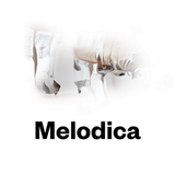 Melodica 23 January 2017