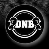 THE DRUM N BASS EXPERIENCE