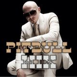 2010 Pitbull MegaMix