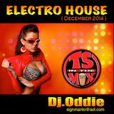 Electro House #30 (December 2014)