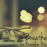 Episode 11: Breathe