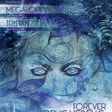 Live @ Forever Psychedelic / Ace Ventura / Tristan / Megalopsy (2014.11.22)