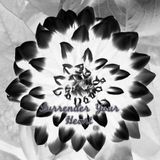Surrender Your Heart CII