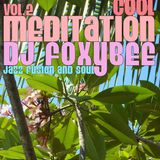 DJ FOXYBEE PRESENTS A SELECTION OF COOL JAZZY GROOVES OPENED TO THE WORLD
