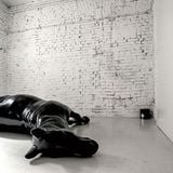 The Horse - Audio work for exhibition The Chain by Simonida Rajčević