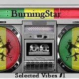 BurningStar_dj set_ Selected Vibes