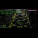 Cem Ermis & Burak Colak - deepFreeze on insomniaFM at May 2012