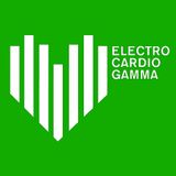 ECG 27.02.2014 part 2