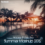 Yankee's House & Electro MashUp #4 (2012)