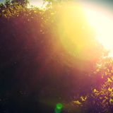 The Little Balcony Mix by Djane Chandrani