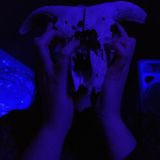 CRUX MIX: DJ KILL