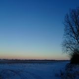 A spontaneous mix on winter mornings
