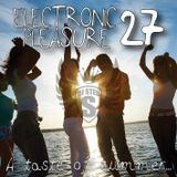 Electronic Pleasure 27