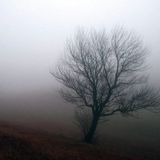 November Mix 2014