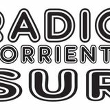 Radio Corriente Sur. desde Bogotá Sur América, con un mensaje de cultura, música y conciencia.