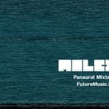 Panaural #17 - 23/10/2014 - guest mix from Molez