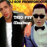 DJ Roy Funkygroove Mashup PSY vs TRIO
