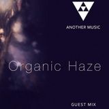 Mix Another Music - Organic Haze