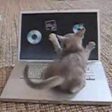 Radio Clash 77: Harder! Faster! Powerbook! Kill! Kill! with guest Audioshrapnel mix