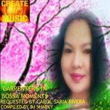 Carpenters In Bossa Moments