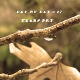 day by day # 17 Tears Dry