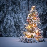 DJ Danny Oceans - December