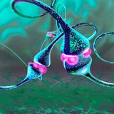 synaptogenesis ii - creative neuroscience for beginners