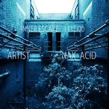 Inner Escape exclusive 111EI00 nAX_Acid