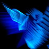 BlueBird - Deep education