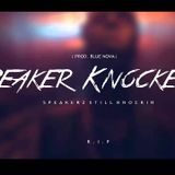 Speaker Knockers Mix RIP-$werving.
