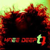 take a ride with T-QUEZ knee deep dec 2013 dj mix
