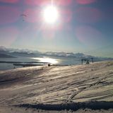 Winter wonderland