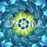 Ozora Festival 2012 Pumpui Stage