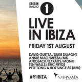 BBC Radio 1 in Ibiza 2014 - David Guetta, Duke Dumont, Annie Mac, Afrojack, Eric Prydz, Pete Tong...