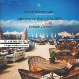 @Experimental Beach Ibiza 2013