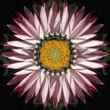 Pureform Textures