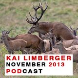 Kai Limberger Podcast November 2013