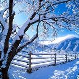 Dj Cheff - Best of January 2013