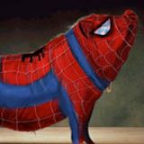 SpiderPig