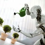Technocracy - Animal Hospital 2012 Set