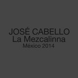 José Cabello @ La Mezcalinna (Playa Del Carmen) 28112014